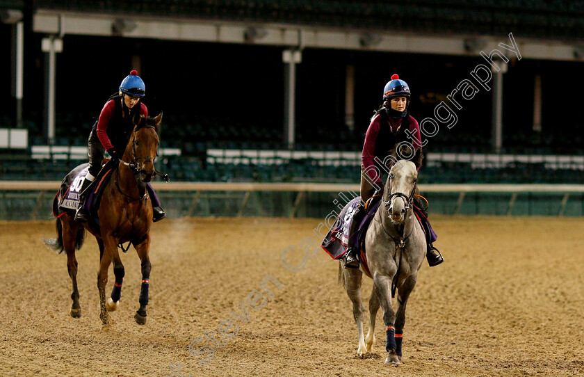 Havana-Grey-and-Comedy-0001 
 HAVANA GREY (Turf Sprint) leads COMEDY (Juvenile Turf Sprint) ahead of The Breeders' Cup 
Churchill Downs USA 29 Oct 2018 - Pic Steven Cargill / Racingfotos.com