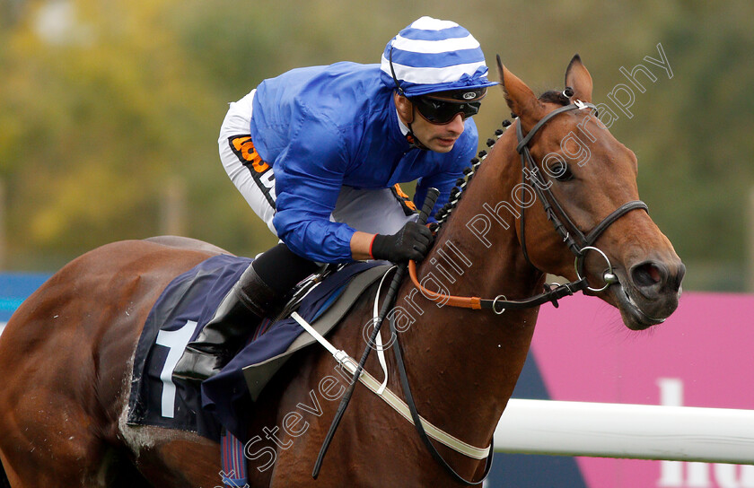 West-End-Charmer-0005 
 WEST END CHARMER (Silvestre De Sousa) wins The Almeda Facilities EBF Novice Stakes
Bath 17 Oct 2018 - Pic Steven Cargill / Racingfotos.com