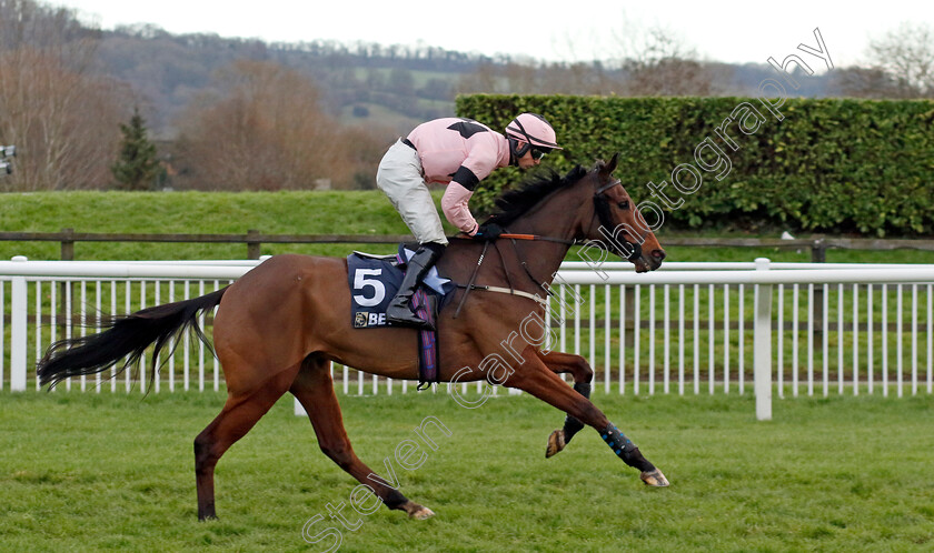 Issar-d Airy-0001 
 ISSAR D'AIRY (Freddie Mitchell)
Cheltenham 14 Dec 2024 - Pic Steven Cargill / Racingfotos.com