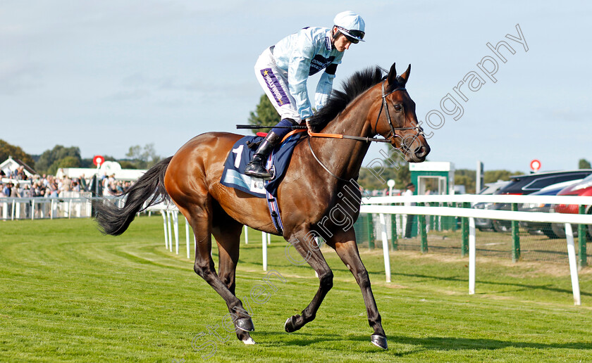 Pearl-Beach-0001 
 PEARL BEACH (Daniel Muscutt)
Yarmouth 14 Sep 2022 - Pic Steven Cargill / Racingfotos.com