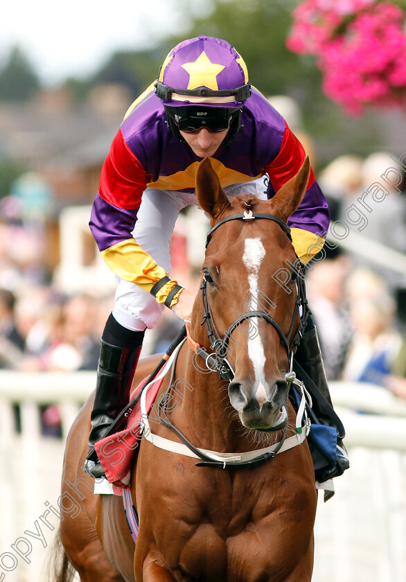 Lucky-Deal-0001 
 LUCKY DEAL (P J McDonald)
York 25 Aug 2018 - Pic Steven Cargill / Racingfotos.com