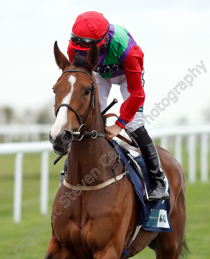 Mistress-Quickly-0002 
 MISTRESS QUICKLY (Harry Bentley)
Bath 17 Oct 2018 - Pic Steven Cargill / Racingfotos.com