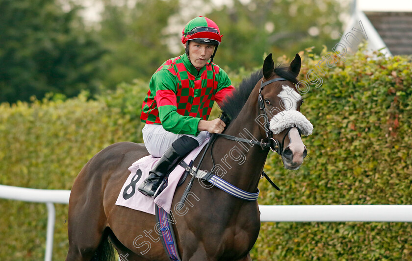 Rue-d Etoile-0001 
 RUE D'ETOILE (Ryys Clutterbuck)
Kempton 28 Aug 2024 - Pic Steven Cargill / Racingfotos.com