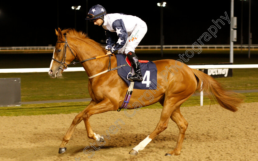 Natsovia-0001 
 NATSOVIA (Nicola Currie) before winning The Ladbrokes Home Of The Odds Boost Handicap
Wolverhampton 26 Feb 2019 - Pic Steven Cargill / Racingfotos.com