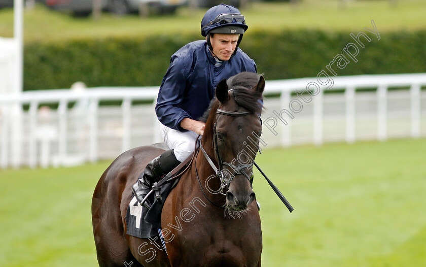 Mountain-Bear-0001 
 MOUNTAIN BEAR (Ryan Moore)
Goodwood 1 Aug 2023 - Pic Steven Cargill / Racingfotos.com