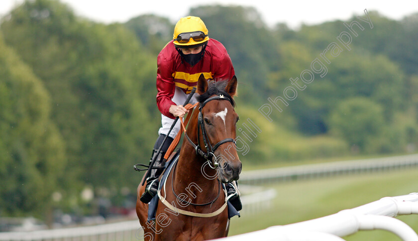 Gear-Up-0001 
 GEAR UP (Ryan Moore)
Newmarket 8 Jul21 - Pic Steven Cargill / Racingfotos.com