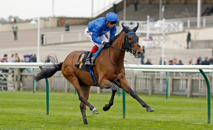 Trawlerman-0004 
 TRAWLERMAN (Frankie Dettori) wins The Jockey Club Rose Bowl Stakes
Newmarket 28 Sep 2023 - Pic Steven Cargill / Racingfotos.com