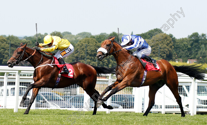 Arctic-Sound-0001 
 ARCTIC SOUND (Silvestre De Sousa) beats FOX TAL (right) in The Good Care Group British EBF Novice Stakes Div1
Sandown 6 Jul 2018 - Pic Steven Cargill / Racingfotos.com