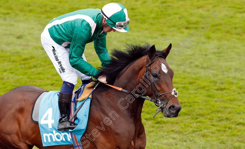 Kaloor-0002 
 KALOOR (Jim Crowley)
Chester 8 May 2019 - Pic Steven Cargill / Racingfotos.com