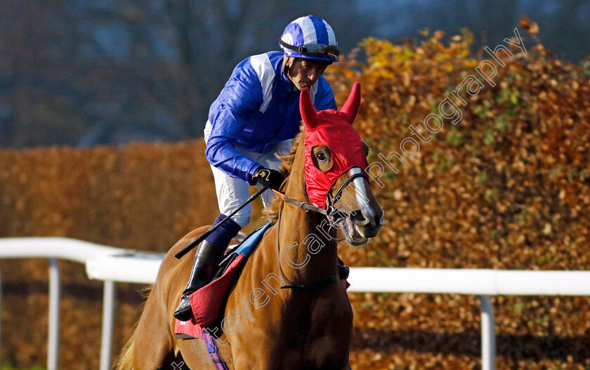 Alfareqa-0001 
 ALFAREQA (Jim Crowley)
Kempton 4 Dec 2024 - Pic Steven Cargill / Racingfotos.com