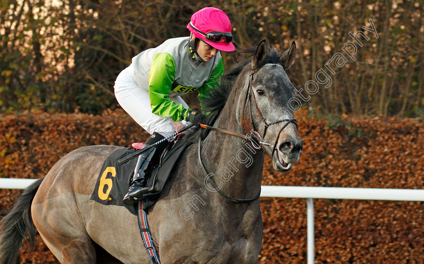 Bird-Of-Wonder-0002 
 BIRD OF WONDER (Emma Taff)
Kempton 4 Dec 2019 - Pic Steven Cargill / Racingfotos.com