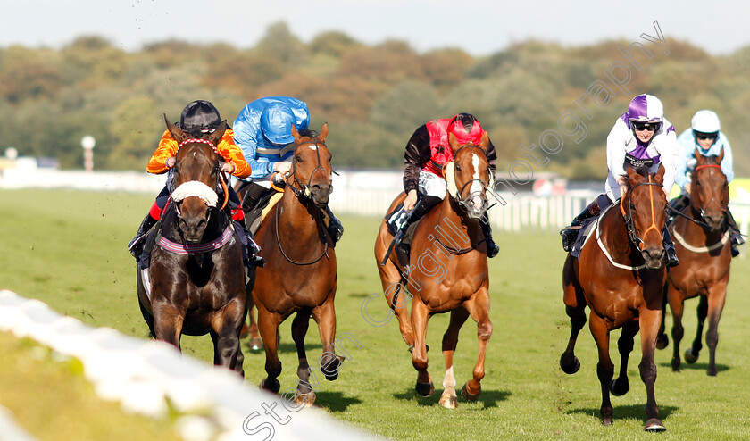 Saaheq-0001 
 SAAHEQ (left, David Egan) beats PEA SHOOTER (right) in The 1stsecuritysolutions.co.uk Handicap
Doncaster 12 Sep 2018 - Pic Steven Cargill / Racingfotos.com