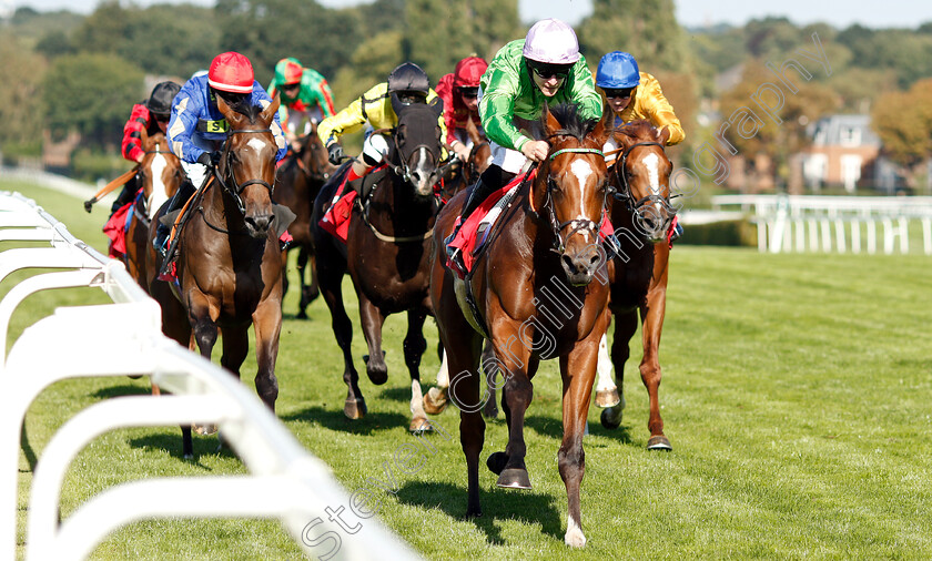 Barristan-The-Bold-0005 
 BARRISTAN THE BOLD (Richard Kingscote) wins The 188bet Supports The NSPCC Nursery
Sandown 1 Sep 2018 - Pic Steven Cargill / Racingfotos.com