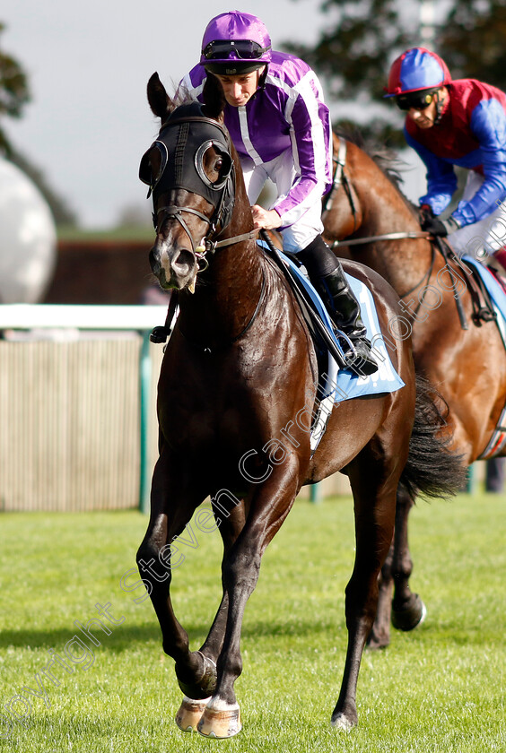 Alabama-0001 
 ALABAMA (Ryan Moore)
Newmarket 13 Oct 2023 - Pic Steven Cargill / Racingfotos.com