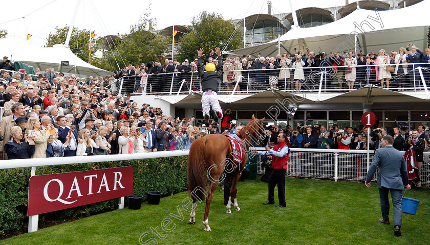 Stradivarius-0015 
 Frankie Dettori leaps from STRADIVARIUS after The Qatar Goodwood Cup
Goodwood 30 Jul 2019 - Pic Steven Cargill / Racingfotos.com