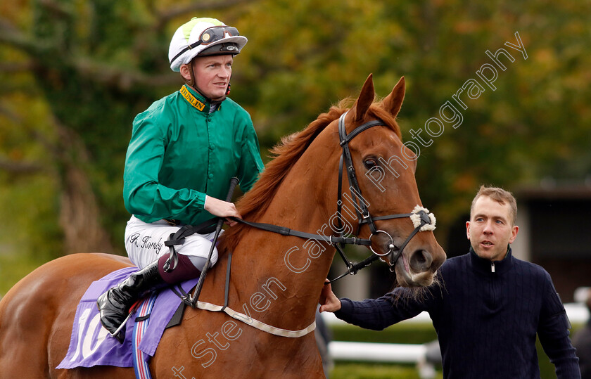 Nowhere-0002 
 NOWHERE (Rob Hornby)
Kempton 2 Oct 2024 - pic Steven Cargill / Racingfotos.com