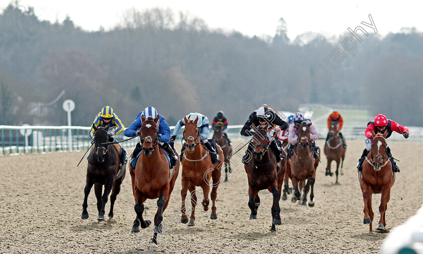 Ahdab-0003 
 AHDAB (Ryan Moore) wins The Bombardier March To Your Own Drum Novice Stakes
Lingfield 13 Feb 2021 - Pic Steven Cargill / Racingfotos.com