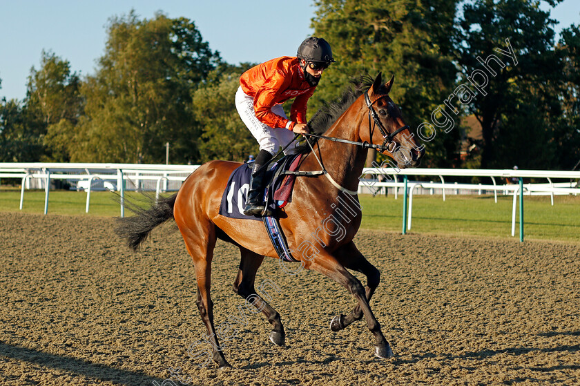 Goldie-Hawk-0001 
 GOLDIE HAWK (George Wood)
Lingfield 4 Aug 2020 - Pic Steven Cargill / Racingfotos.com