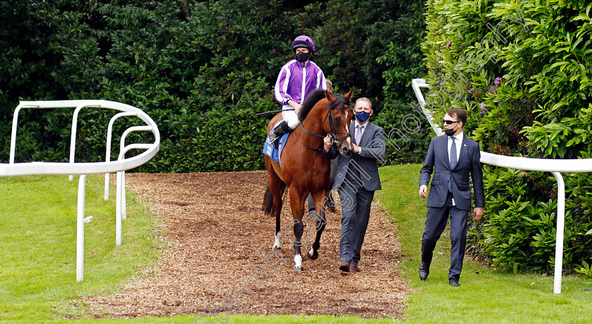 St-Mark s-Basilica-0001 
 ST MARK'S BASILICA (Ryan Moore) before winning The Coral Eclipse Stakes
Sandown 3 Jul 2021 - Pic Steven Cargill / Racingfotos.com