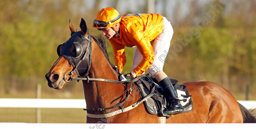 Rhubarb-Bikini 
 RHUBARB BIKINI (Kieran O'Neill)
Chelmsford 31 Mar 2022 - Pic Steven Cargill / Racingfotos.com