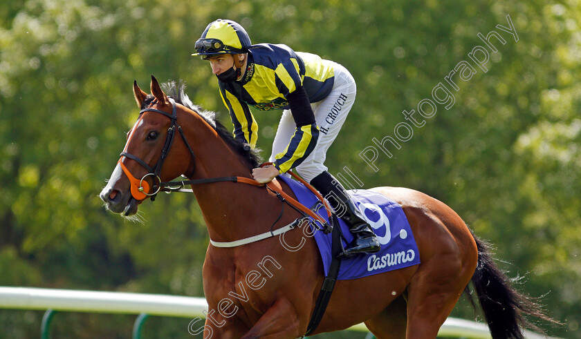 Isabella-Giles-0002 
 ISABELLA GILES (Hector Crouch)
Haydock 22 May 2021 - Pic Steven Cargill / Racingfotos.com