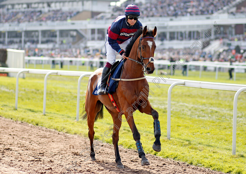 Kauto-Riko-0001 
 KAUTO RIKO (Robert Dunne) Aintree 14 Apr 2018 - Pic Steven Cargill / Racingfotos.com