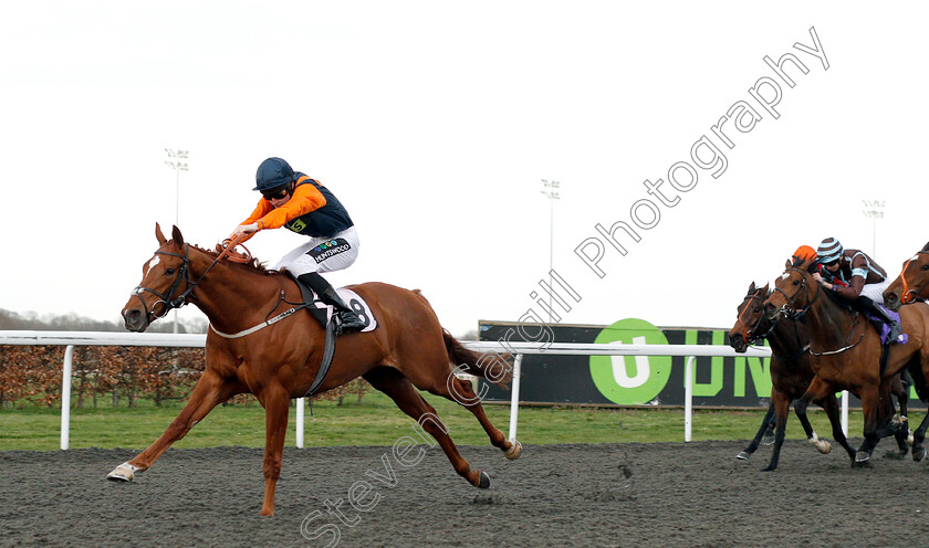 Oloroso-0004 
 OLOROSO (Joshua Bryan) wins The 100% Profit Boost At 32redsport.com Handicap
Kempton 23 Mar 2019 - Pic Steven Cargill / Racingfotos.com