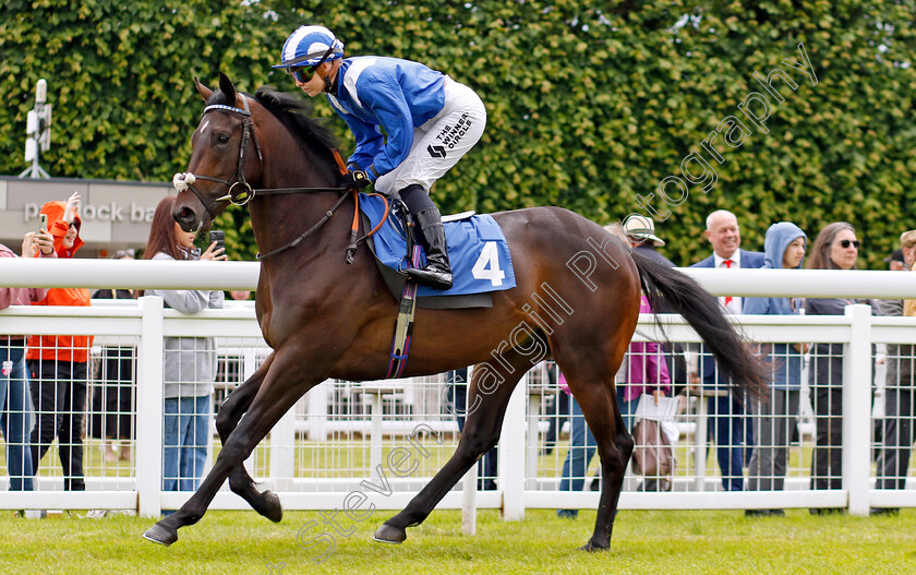 El-Madar-0002 
 EL MADAR (Saffie Osborne)
Salisbury 16 Jun 2024 - Pic Steven Cargill / Racingfotos.com