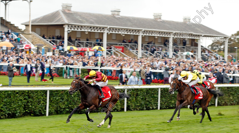 Iberian-0004 
 IBERIAN (Tom Marquand) wins The Betfred Champagne Stakes
Doncaster 16 Sep 2023 - Pic Steven Cargill / Racingfotos.com