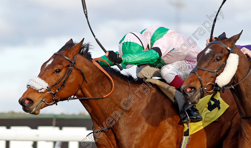 Celtic-Warrior-0001 
 CELTIC WARRIOR (Oisin Murphy) wins The Additional Maiden Stakes
Kempton 3 Apr 2024 - Pic Steven Cargill / Racingfotos.com