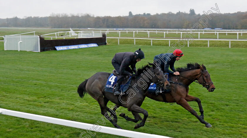 Giantsgrave-and-Only-Way-Is-Up-0001 
 GIANTSGRAVE (right) and ONLY WAY IS UP (left)
Coral Gold Cup gallops morning Newbury 19 Nov 20234 - Pic Steven Cargill / Racingfotos.com