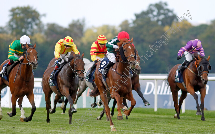 Satin-0002 
 SATIN (Shane Foley) wins The Irish Stallion Farms EBF Petingo Handicap
Leopardstown 9 Sep 2023 - Pic Steven Cargill / Racingfotos.com