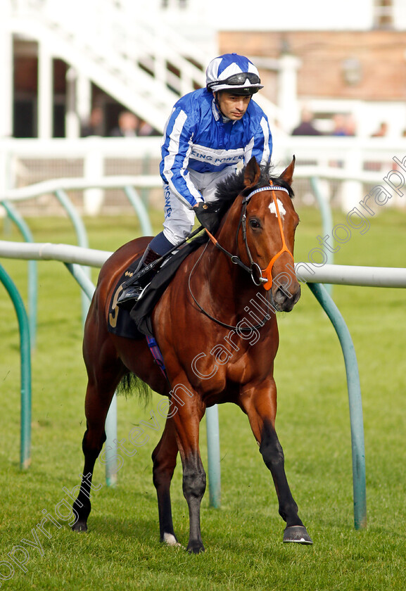 Windseeker-0001 
 WINDSEEKER (Silvestre De Sousa)
Nottingham 13 Oct 2021 - Pic Steven Cargill / Racingfotos.com