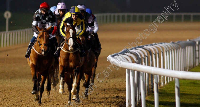 My-Girl-Maggie-and-Sharp-Suited-0001 
 MY GIRL MAGGIE (right, Richard Kingscote) with SHARP SUITED (left, Ben Robinson) during The Betway Handicap
Wolverhampton 1 Feb 2021 - Pic Steven Cargill / Racingfotos.com