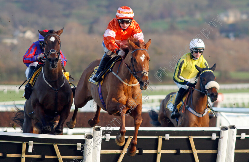 Teriferma-0001 
 TERIFERMA (Sean Bowen) wins The JCB Triumph Trial Juvenile Hurdle 
Cheltenham 14 Dec 2024 - Pic Steven Cargill / Racingfotos.com