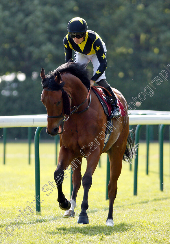 Encore-D or-0001 
 ENCORE D'OR (Tom Marquand)
Haydock 26 May 2018 - Pic Steven Cargill / Racingfotos.com