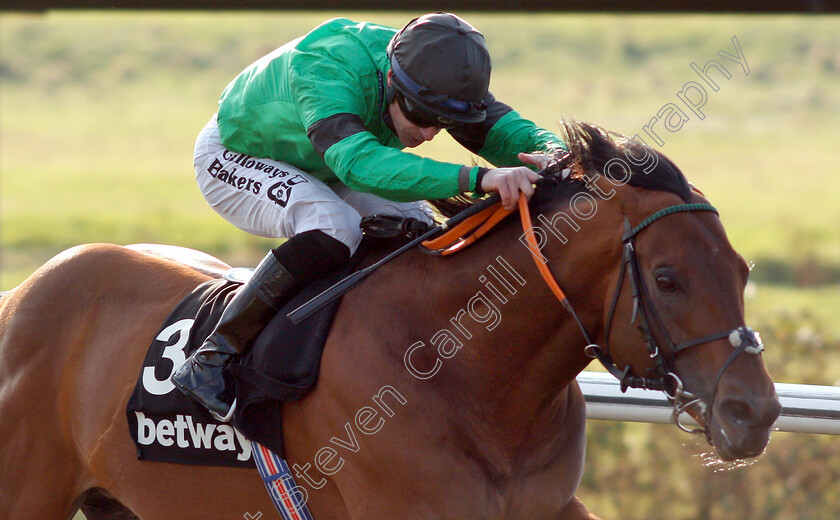 Kachy-0006 
 KACHY (Richard Kingscote) wins The Betway Cleves Stakes
Lingfield 2 Feb 2019 - Pic Steven Cargill / Racingfotos.com