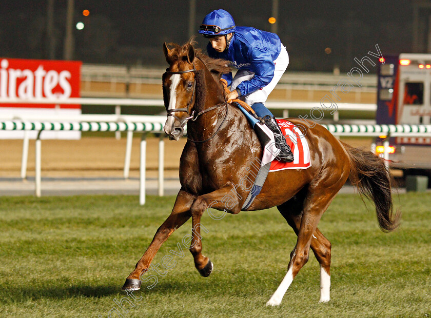 Hawkbill-0015 
 HAWKBILL (William Buick) winner of The Dubai City Of Gold Meydan 10 Mar 2018 - Pic Steven Cargill / Racingfotos.com