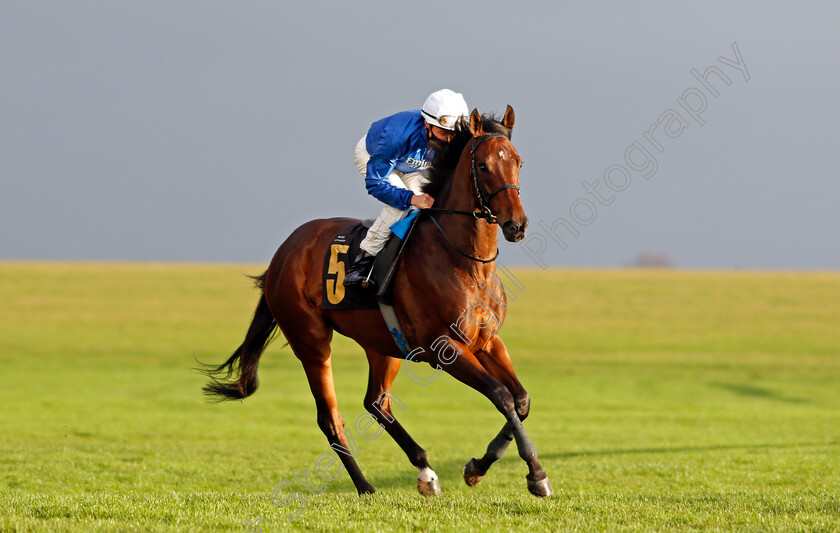 Zakouski-0003 
 ZAKOUSKI (William Buick) before winning The Bet In-Play At Mansionbet Ben Marshall Stakes
Newmarket 31 Oct 2020 - Pic Steven Cargill / Racingfotos.com