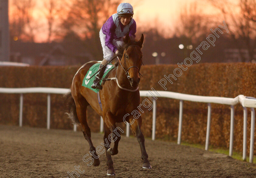 No-Nonsense-0001 
 NO NONSENSE (Liam Keniry) winner of The 32Red Conditions Stakes
Kempton 4 Jan 2019 - Pic Steven Cargill / Racingfotos.com