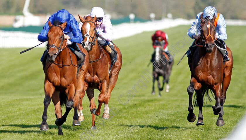 Rastrelli-0005 
 RASTRELLI (left, William Buick) beats TIGRE DU TERRE (right) and BOMBYX (centre) in The Dubai Duty Free Golf World Cup British EBF Stakes Newbury 20 Apr 2018 - Pic Steven Cargill / Racingfotos.com