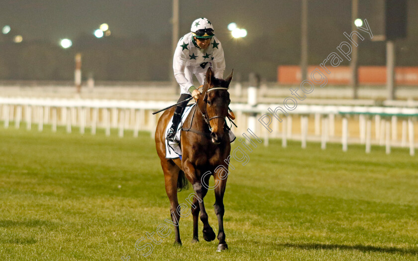 Samedi-Rien-0001 
 SAMEDI RIEN (Vaclav Janacek)
Meydan 3 Feb 2023 - Pic Steven Cargill / Racingfotos.com