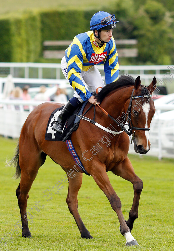 Tronada-0002 
 TRONADA (Oisin Murphy)
Goodwood 24 May 2019 - Pic Steven Cargill / Racingfotos.com