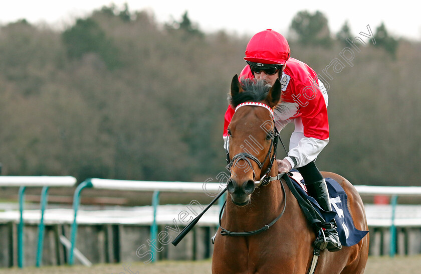 Photosynthesis-0004 
 PHOTOSYNTHESIS (Jack Mitchell) winner of The Boost Your Acca At Betmgm Handicap
Lingfield 20 Jan 2024 - Pic Steven Cargill / Racingfotos.com