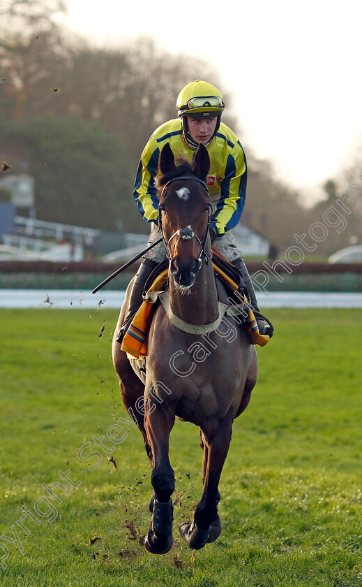 Haddex-Des-Obeaux-0002 
 HADDEX DES OBEAUX (Jack Tudor)
Sandown 9 Dec 2023 - Pic Steven Cargill / Racingfotos.com