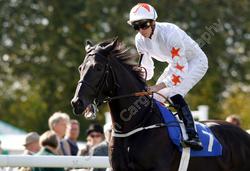 King-Ademar-0002 
 KING ADEMAR (James Doyle)
Salisbury 3 Oct 2018 - Pic Steven Cargill / Racingfotos.com