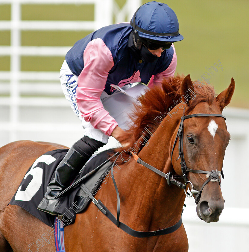 Wicklow-0001 
 WICKLOW (Tom Marquand)
Goodwood 30 Aug 2020 - Pic Steven Cargill /Racingfotos.com