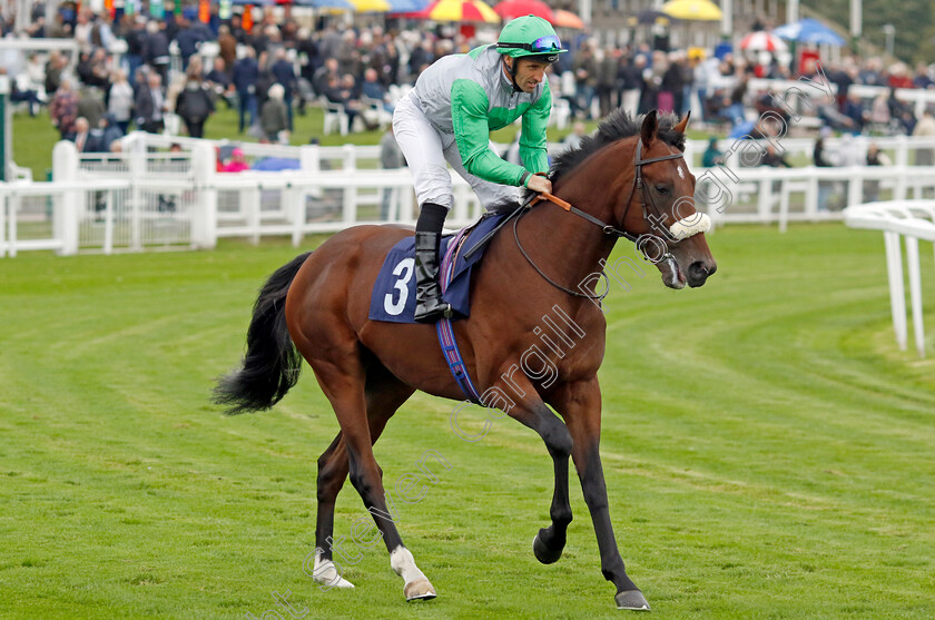 Prometeo-0001 
 PROMETEO (Neil Callan)
Yarmouth 19 Sep 2023 - Pic Steven Cargill / Racingfotos.com