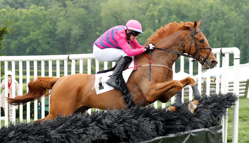 Boss-Man-0001 
 BOSS MAN (Barry Foley)
Percy Warner Park, Nashville USA, 11 May 2019 - Pic Steven Cargill / Racingfotos.com