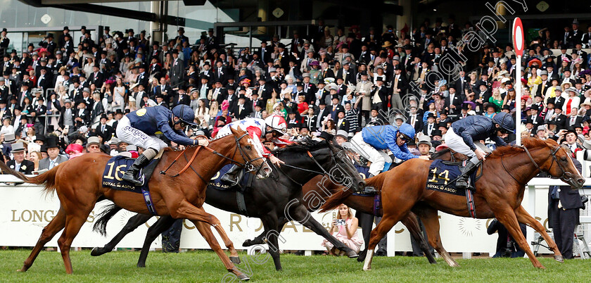 Southern-Hills-0005 
 SOUTHERN HILLS (Ryan Moore) wins The Windsor Castle Stakes
Royal Ascot 19 Jun 2019 - Pic Steven Cargill / Racingfotos.com